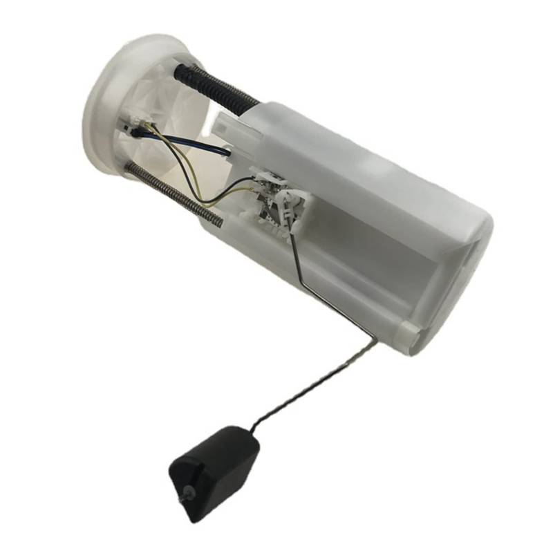Gbloodst Kraftstofffilter für Elektrische Kraftstoffpumpe Passend für RE4 2.4 17045-SWN-H00 von Gbloodst
