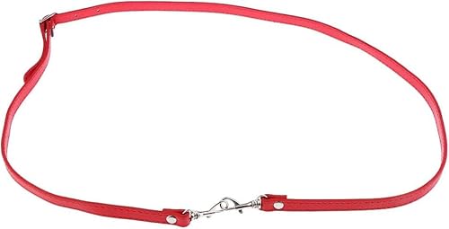 Gcljlmy Schultergurt für Handtasche Schulterrimen verstellbare Trageriemen Umhängeriemen 110G120 cm (rot) von Gcljlmy