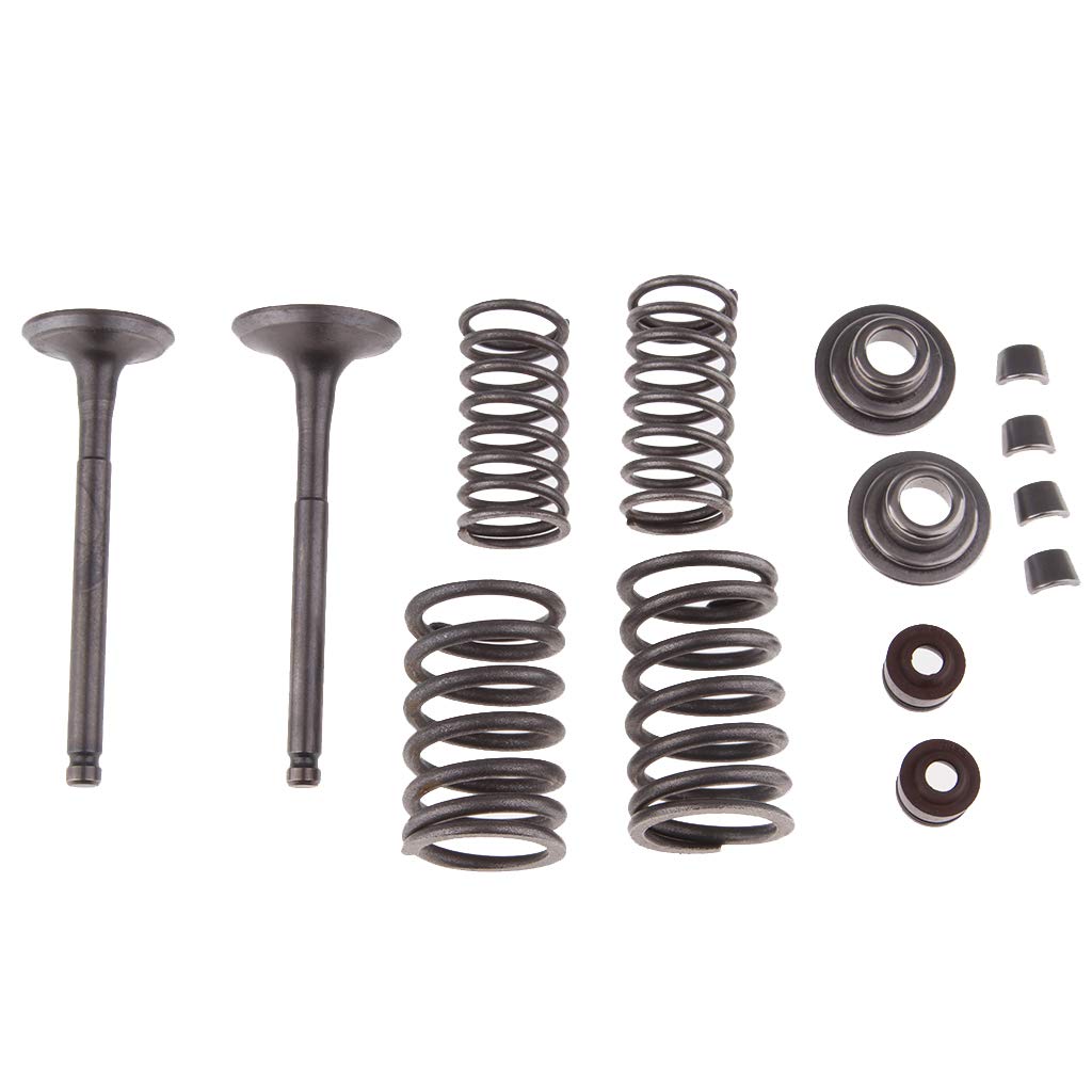 Ansaugventile Federn für 110cc ATV Dirt Pit Bike Go Kart Trail Bike Ansaugventile Federn für 110cc ATV Dirt Pit Bike Go Kart Trail Bike von Geardeangloow