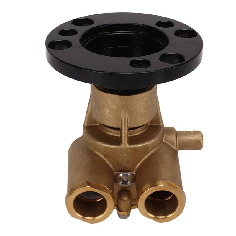 Gearwell Rohwasserpumpe, kompatibel mit V6 V8 AQ 1979-1993 Kurbelwelle montierte Meerspumpe Marine Motorkühlpumpe Montage von Gearwell