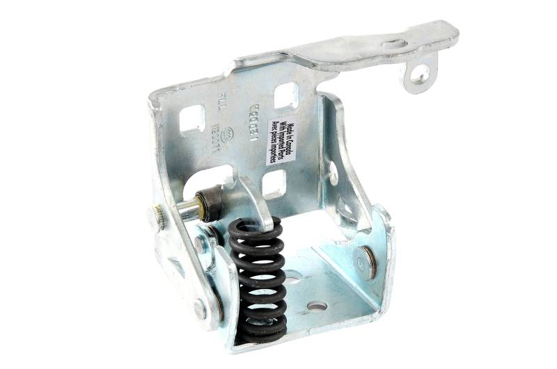 Genuine GM Parts 20969645 Türscharnier vorne Fahrerseite unten von General Motors