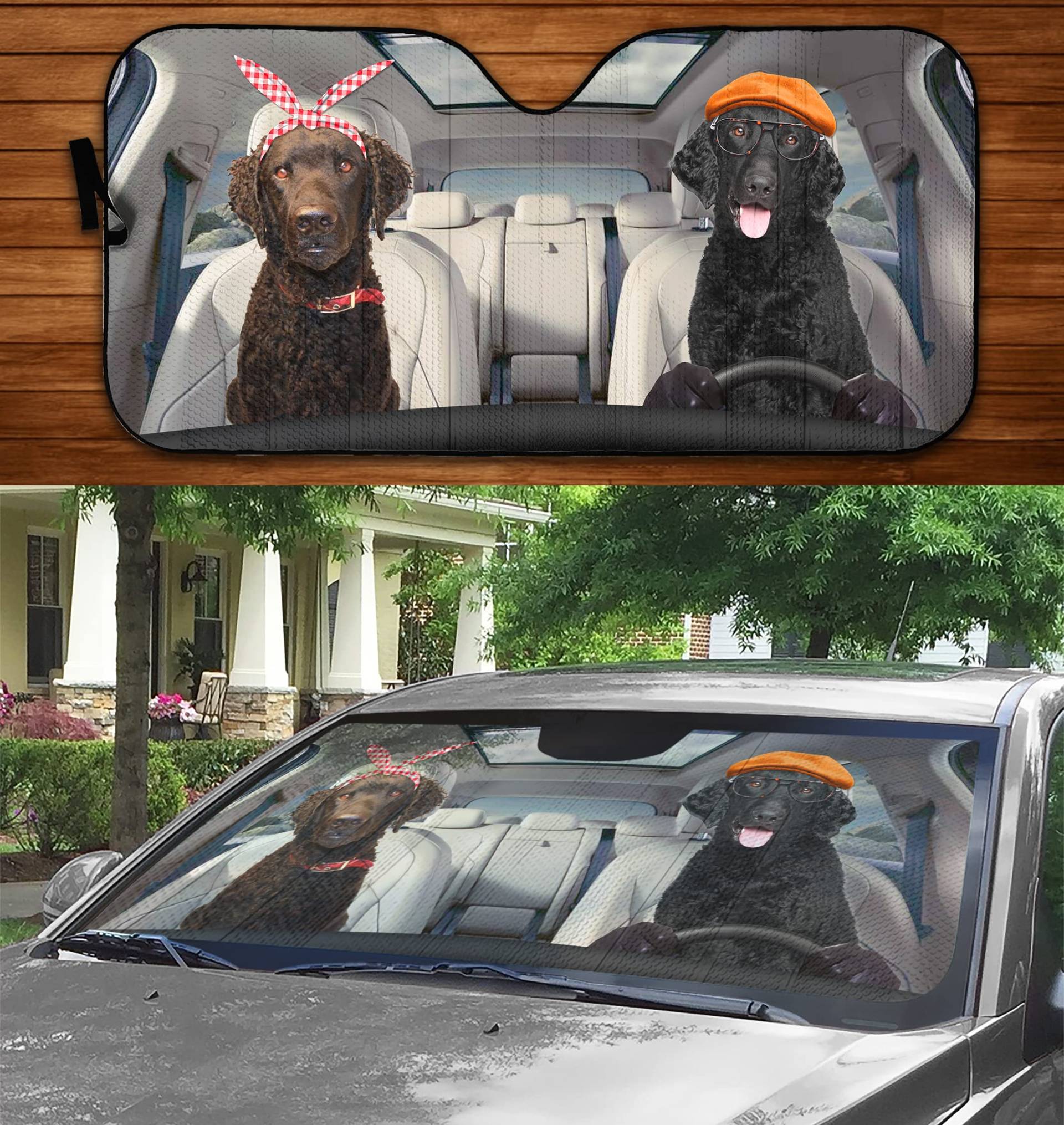 Curly Coated Retriever Paar Beim Fahren Auto Windschutzscheibe Sonnenschutz Uv-Schutz Auto Windschutzscheibe Sonnenblende Universal Für Meisten Fahrzeuge Lastwagen Wagen Curly Coated Retriever Paar Beim Fahren Auto Windschutzscheibe Sonnenschutz Uv-Schutz Auto Windschutzscheibe Sonnenblende Universal Für Meisten Fahrzeuge Lastwagen Wagen von Generic