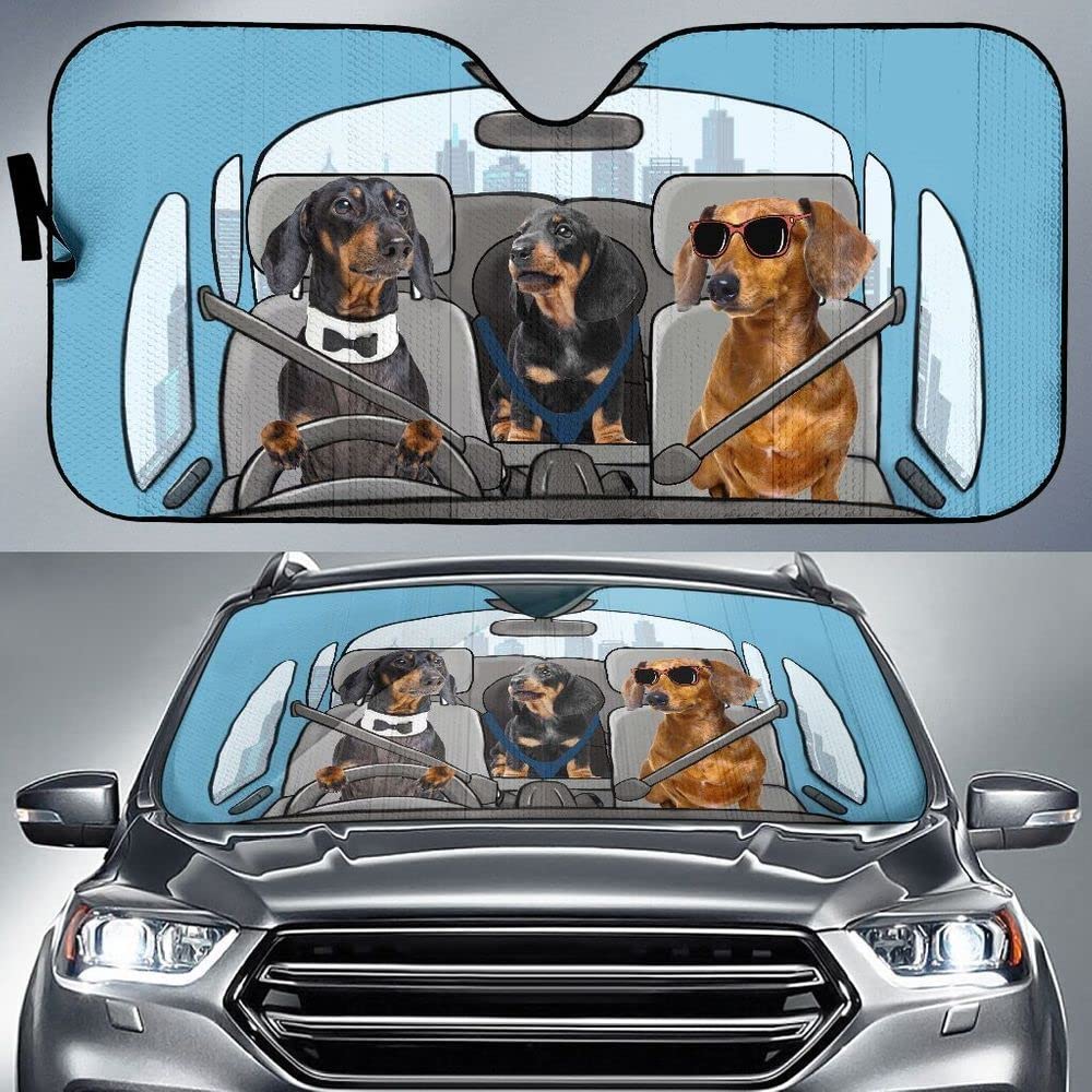 Dackel-Hundefamilie Trägt Sonnenbrille Beim Fahren Auf Der Rechten Seite Auto Windschutzscheibe Sonnenblende Einfache Lagerung Sonnenschutz Auto Frontscheibe Universal Für Sommer SUV Dackel-Hundefamilie Trägt Sonnenbrille Beim Fahren Auf Der Rechten Seite Auto Windschutzscheibe Sonnenblende Einfache Lagerung Sonnenschutz Auto Frontscheibe Universal Für Sommer SUV von Generic