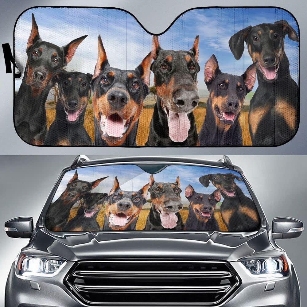 Dobermann Pinscher Hundeliebhaber Sonnenschutz Auto Frontscheibe Faltbar Auto Windschutzscheibe Sonnenblende Universal Für Sommer SUV Wagen Dobermann Pinscher Hundeliebhaber Sonnenschutz Auto Frontscheibe Faltbar Auto Windschutzscheibe Sonnenblende Universal Für Sommer SUV Wagen von Generic