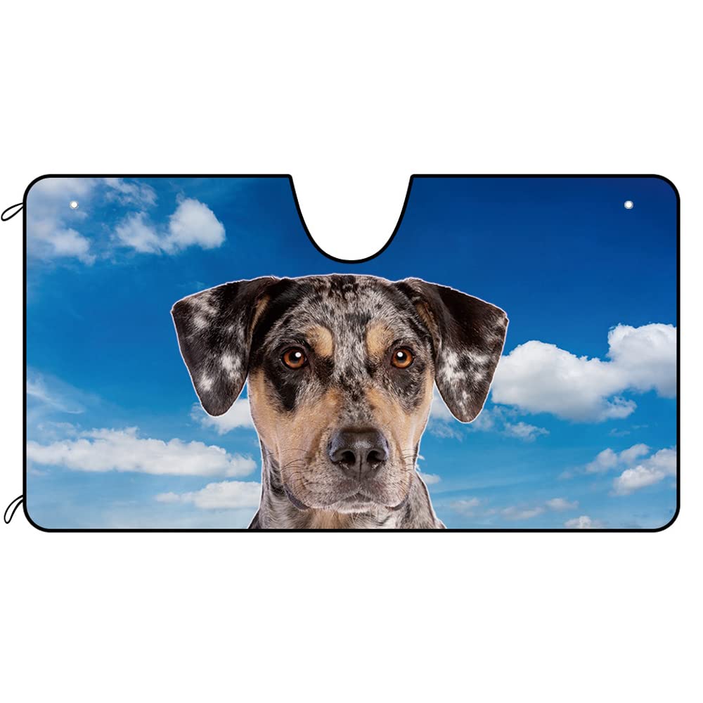 EIN Süßer Catahoula-Hund Mit Blauem Himmel Sonnenschutz Auto Frontscheibe Auto Windschutzscheibe Sonnenblende Wasserbeständig Auto Windschutzscheibe Sonnenschutz Universal M EIN Süßer Catahoula-Hund Mit Blauem Himmel Sonnenschutz Auto Frontscheibe Auto Windschutzscheibe Sonnenblende Wasserbeständig Auto Windschutzscheibe Sonnenschutz Universal M von Generic
