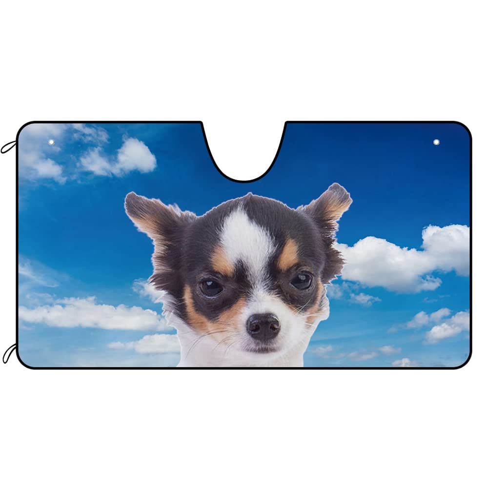EIN Süßer Chihuahua-Hund Mit Blauem Himmel Auto Windschutzscheibe Sonnenschutz Wasserbeständig Auto Windschutzscheibe Sonnenblende Sonnenschutz Auto Frontscheibe Universal M EIN Süßer Chihuahua-Hund Mit Blauem Himmel Auto Windschutzscheibe Sonnenschutz Wasserbeständig Auto Windschutzscheibe Sonnenblende Sonnenschutz Auto Frontscheibe Universal M von Generic