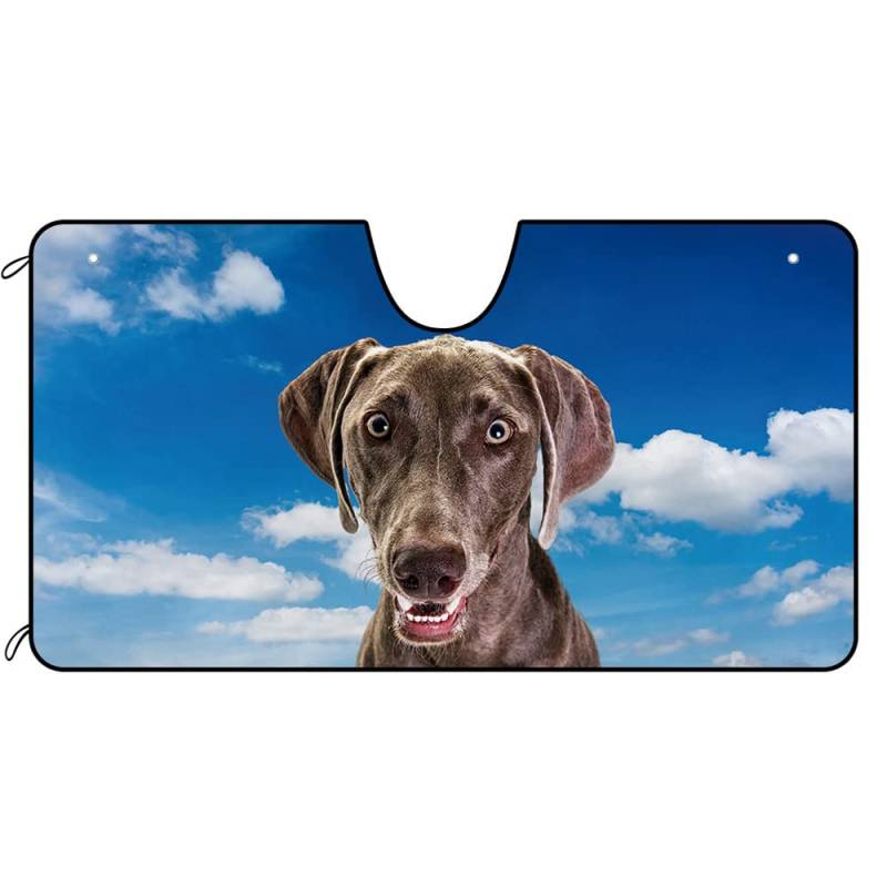 Hund Weimaraner Hund Blauer Himmel Auto Windschutzscheibe Sonnenschutz Einfache Lagerung Auto Windschutzscheibe Sonnenblende Uv-Schutz Sonnenschutz Auto Frontscheibe Universal Für Mpv SUV Wagen M von Generic