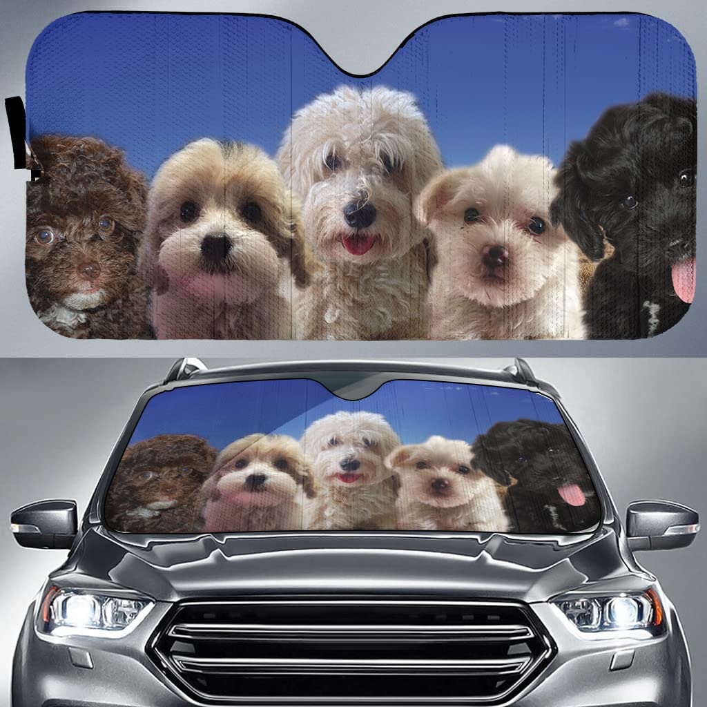 Lustige Crestepoo Chinese Crested Powder Puff Pudel Familie Blauer Himmel Sonnenschutz Auto Frontscheibe Hitzeschutz Auto Windschutzscheibe Sonnenschutz Universal Für Mpv Lastwagen Geländewagen Lustige Crestepoo Chinese Crested Powder Puff Pudel Familie Blauer Himmel Sonnenschutz Auto Frontscheibe Hitzeschutz Auto Windschutzscheibe Sonnenschutz Universal Für Mpv Lastwagen Geländewagen von Generic