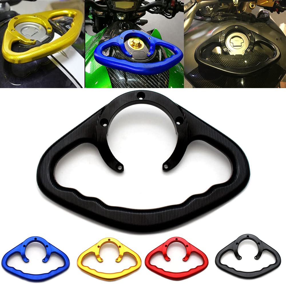 Motorrad Beifahrer Handgriff Haltegriffe Kindersitz Griffschiene Armlehne Hand für Yamaha MT07 MT09 Tracer FZ1 FZ6 FZ8 XJ6(Schwarz) von Generic