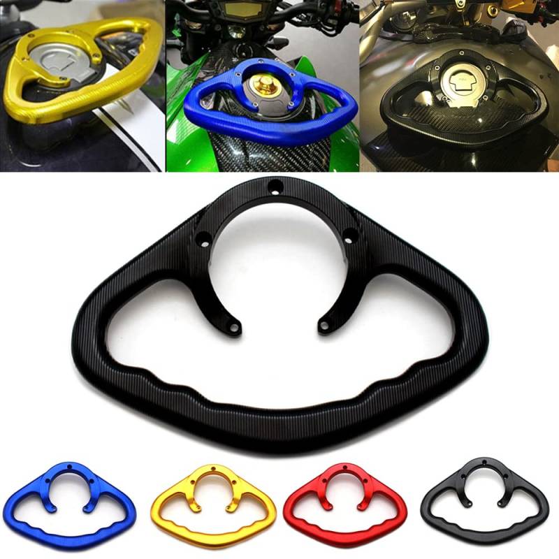 Motorrad Beifahrer Handgriff Haltegriffe Kindersitz Griffschiene Armlehne Hand für Yamaha MT07 MT09 Tracer FZ1 FZ6 FZ8 XJ6(Schwarz) von Generic