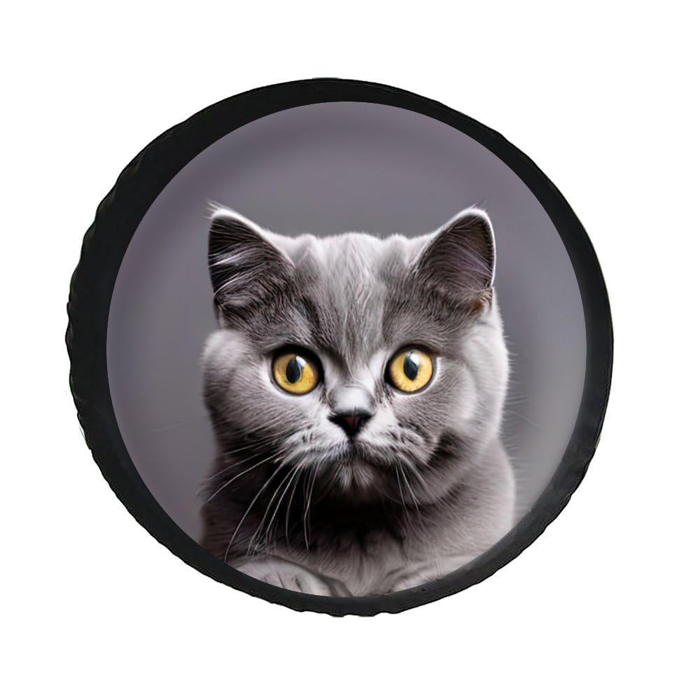 Reserveradabdeckung Schöne Graue Britische Katze Späht Schwarz Reifencover Wasserdicht Ersatzrad Abdeckung Staubdicht Reifenabdeckungen Für Wohnmobil Truck Auto S Reserveradabdeckung Schöne Graue Britische Katze Späht Schwarz Reifencover Wasserdicht Ersatzrad Abdeckung Staubdicht Reifenabdeckungen Für Wohnmobil Truck Auto S von Generic