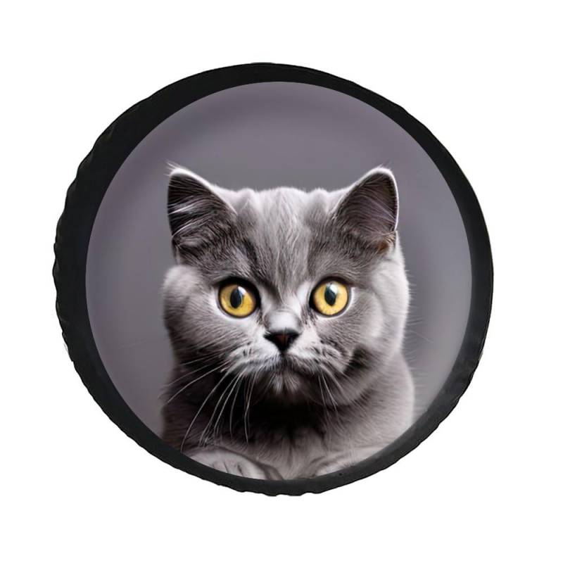 Reserveradabdeckung Schöne Graue Britische Katze Späht Schwarz Reifencover Wasserdicht Ersatzrad Abdeckung Staubdicht Reifenabdeckungen Für Wohnmobil Truck Auto S von Generic