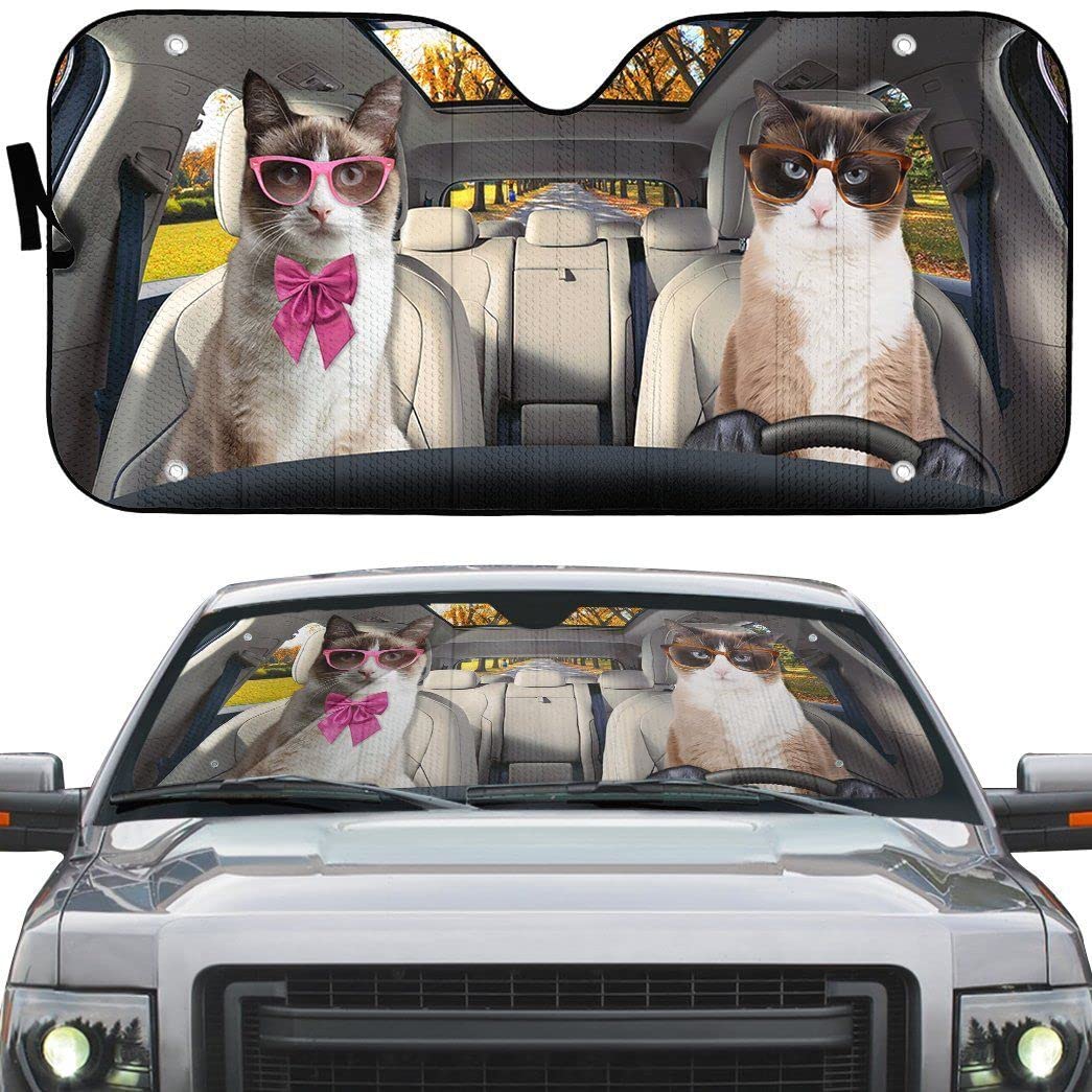 Schneeschuhkatze Mit Brille Auf Einer Herbststraße Auto Windschutzscheibe Sonnenblende Hitzeschutz Auto Windschutzscheibe Sonnenschutz Universal Für SUV Wagen Lastwagen Schneeschuhkatze Mit Brille Auf Einer Herbststraße Auto Windschutzscheibe Sonnenblende Hitzeschutz Auto Windschutzscheibe Sonnenschutz Universal Für SUV Wagen Lastwagen von Generic