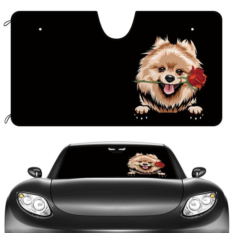Schöner Pommerscher Hund Mit Blume Rose Sonnenschutz Auto Frontscheibe Wasserbeständig Auto Windschutzscheibe Sonnenblende Uv-Schutz Auto Windschutzscheibe Sonnenschutz Universal S von Generic