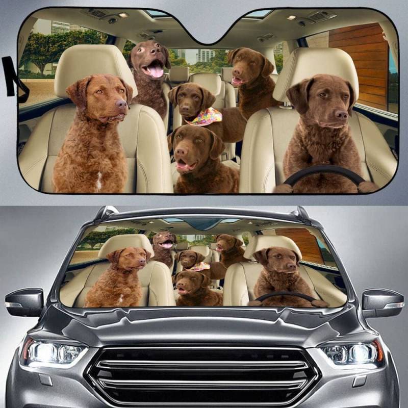 Universal Frontscheibenabdeckung Chesapeake Bay Retriever Familie Im Rad Wasserbeständig Autoscheibenabdeckung Abdeckung Sonnenschutz Auto Sonnenschutz Für Wagen M von Generic