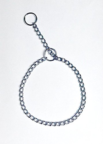 Halsband für Hund aus Eisen verchromt cm.60 von Generico