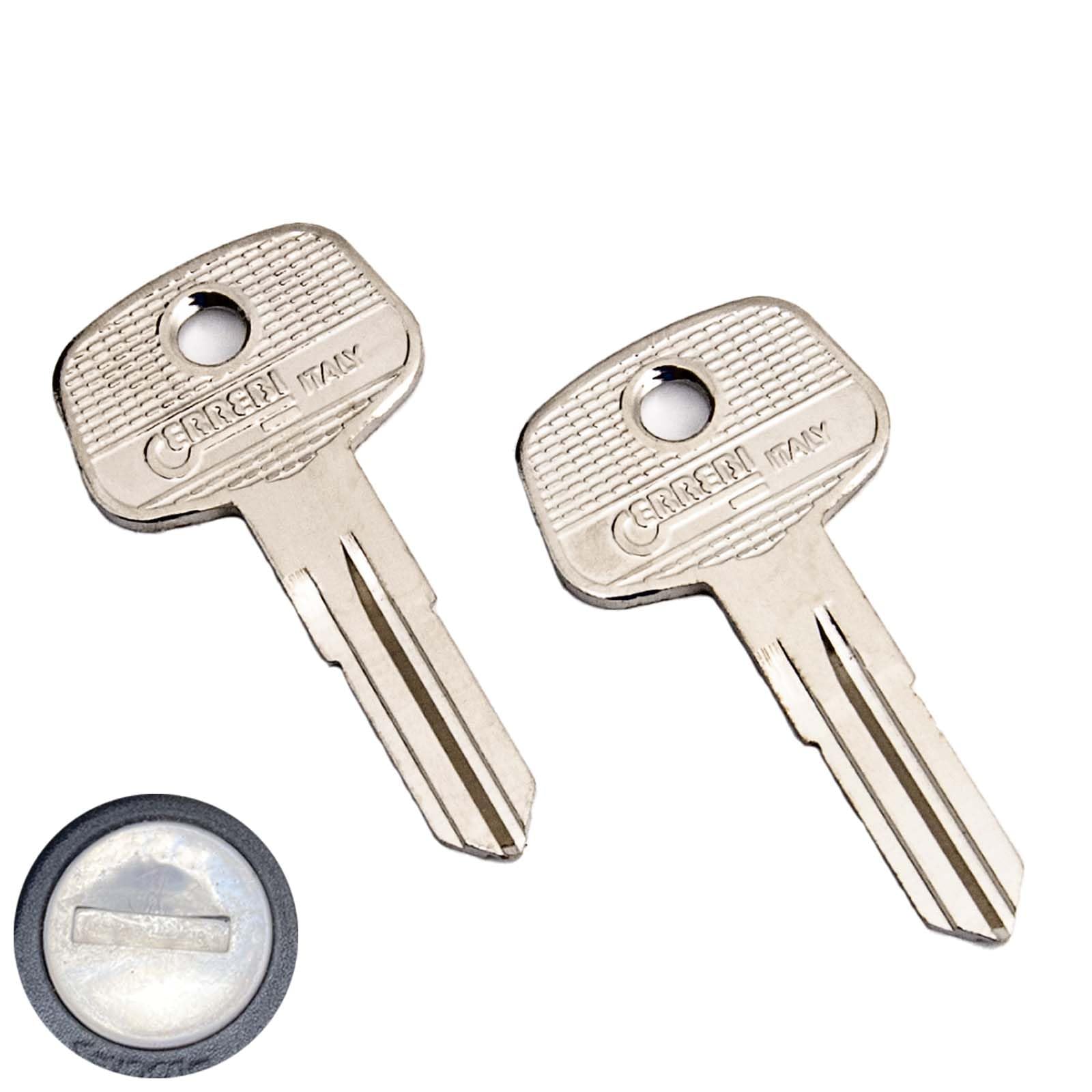 Generisch 2X Schlüssel Ersatzschlüssel passend für ACS Brink Thule Anhängerkupplungen AHK ACS01-ACS10 Code (ACS06) von Generisch