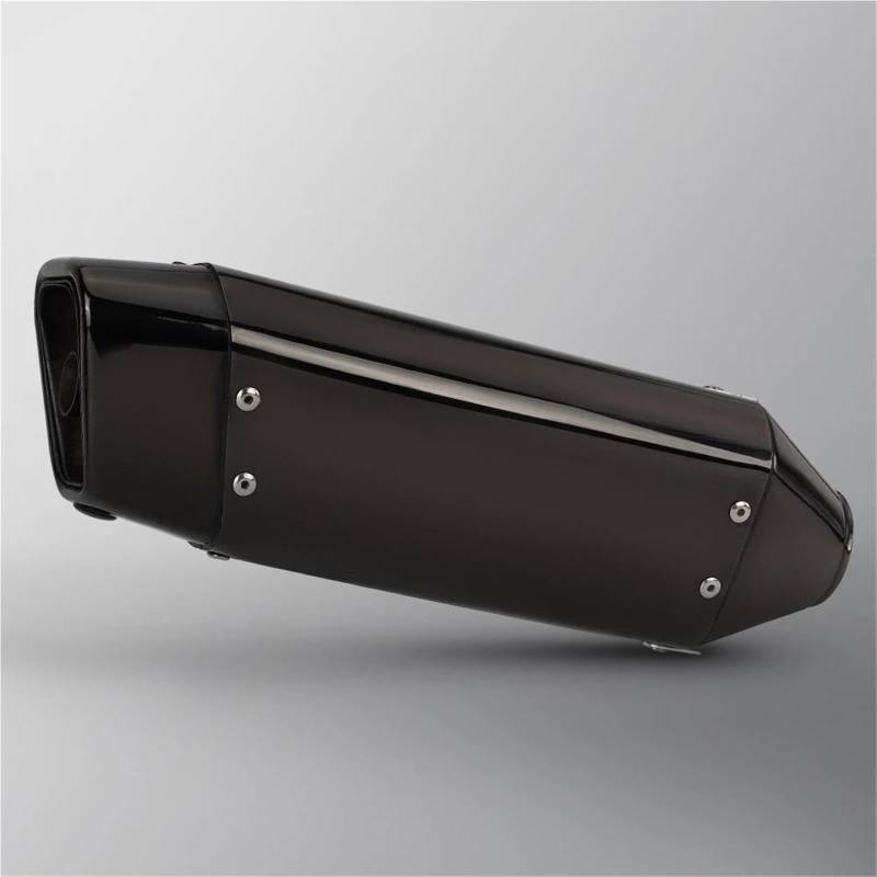 Generisch Schalldämpfereinsätze 51mm Zubehör Motorrad Auspuff Endrohr Modifiziert Schalldämpfer Passend Für Ninja400 GSXR750 GSX8S Für Duke790 F750GS(Style 2) von Generisch