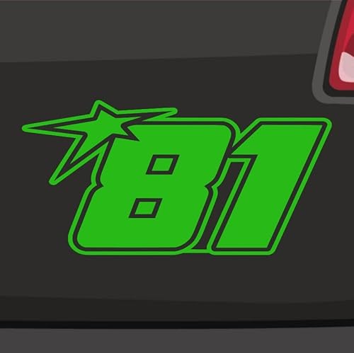 Generisch Startnummer 81 Aufkleber Sticker Auto Zahl MTB Motorrad Rennen Stern 46x23cm Farbe: Neongrün von Generisch