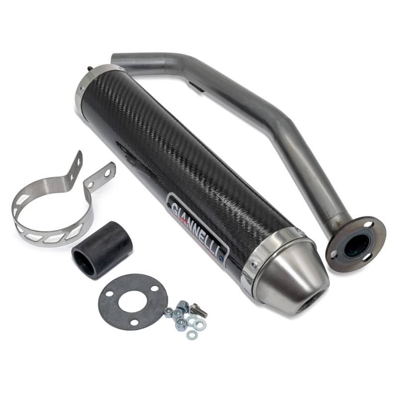 Auspuffanlage Giannelli Endtopf Carbon ohne ABE für Aprilia SX-125 2T von Giannelli