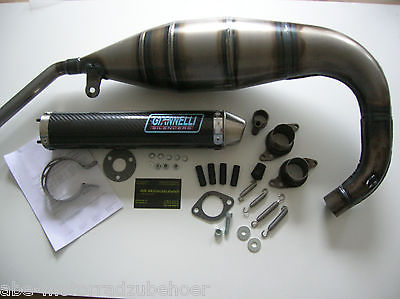 Sport Auspuff Anlage Giannelli Carbon Aprilia RS 125 Tuono Bj. 2003-2004 Typ: SFD00 +ABE Sport Auspuff Anlage Giannelli Carbon Aprilia RS 125 Tuono Bj. 2003-2004 Typ: SFD00 +ABE von Giannelli