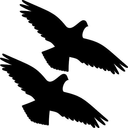 2 Stück 30cm schwarz Habicht Greifvogel Vogel Fenster Schutz Warnvogel Warnvögel Aufkleber Tattoo die Cut Deko Folie von GreenIT