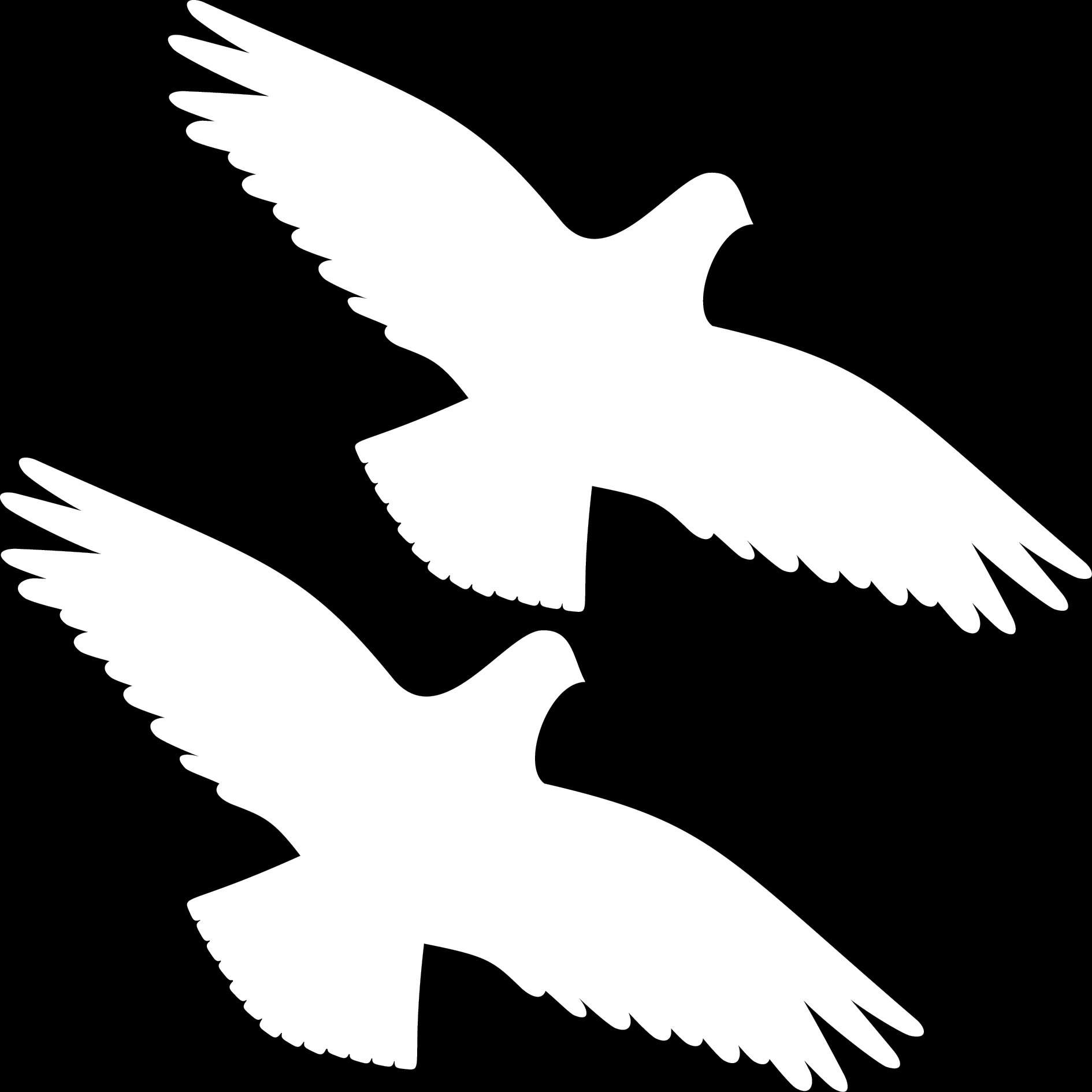 2 Stück 30cm weiß Habicht Greifvogel Vogel Fenster Schutz Warnvogel Warnvögel Aufkleber Tattoo die cut Deko Folie von GreenIT