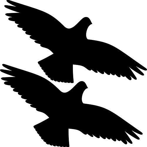2 Stück 35cm schwarz Habicht Greifvogel Vogel Fenster Schutz Warnvogel Warnvögel Aufkleber Tattoo die Cut Deko Folie von GreenIT