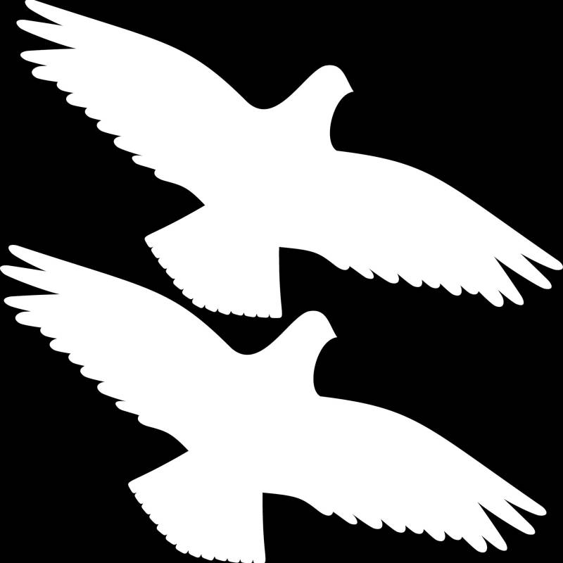 2 Stück 35cm weiß Habicht Greifvogel Vogel Fenster Schutz Warnvogel Warnvögel Aufkleber Tattoo die Cut Deko Folie von GreenIT