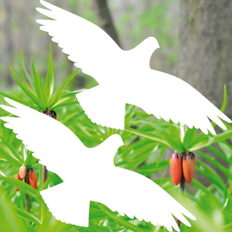GreenIT 10 Stück 20cm weiß Vogel Aufkleber die Cut Tattoo Warnvögel Fenster Schutz Deko Folie von GreenIT