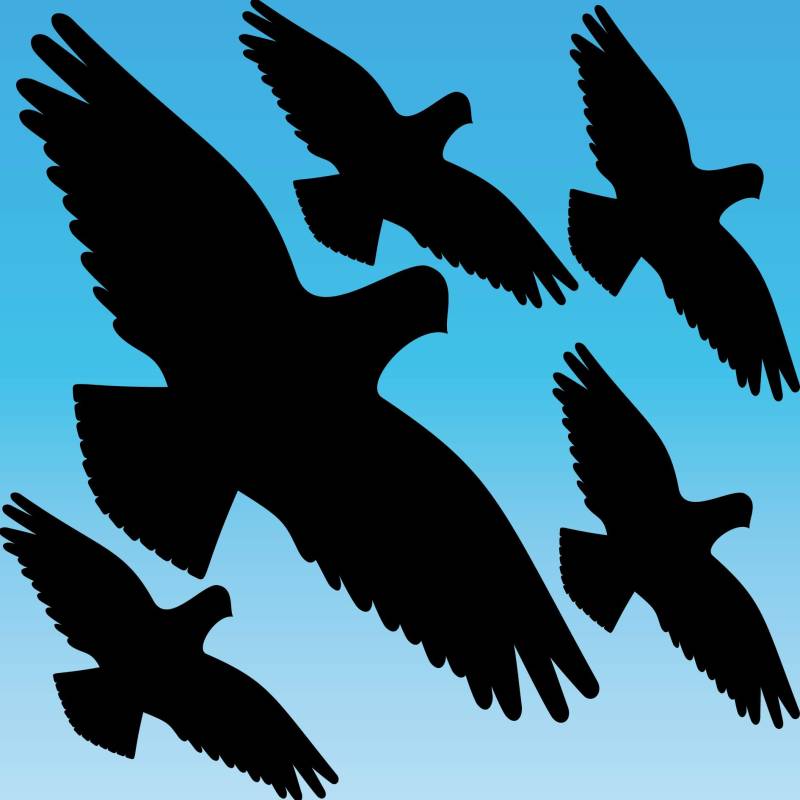 GreenIT Warnvogel schwarz Set L (groß) Vogel Vögel Warnvögel Silhouette Aufkleber Tattoo Fenster Schutz gegen Vogelschlag Deko Folie von GreenIT