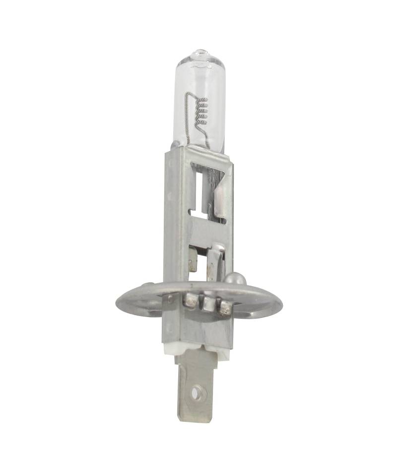 Greenstar 23824 Glühlampe 24 V Elektrizität für Rasenmäher von Greenstar