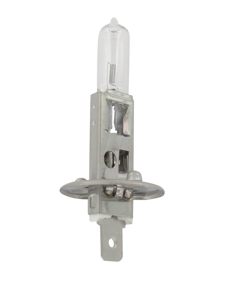 Greenstar 23826 Leuchtmittel, 12 V, für Rasenmäher von Greenstar