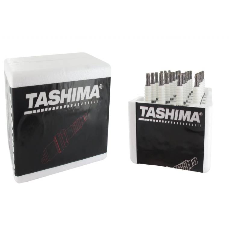 Greenstar 495109 Zündkerze TASHIMA Elektrizität für Rasenmäher von Greenstar