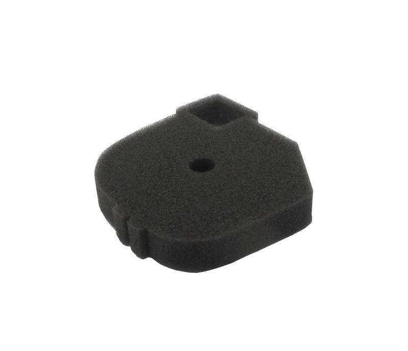Greenstar 570771 A Luftfilter von Greenstar