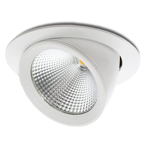 LED-Downlight-Strahler 30W 3000Lm 4200ºK verstellbar UGR17 50.000H [JW-30W-GW] | Greenice von Greenice