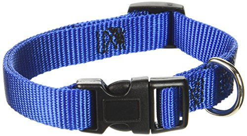 Guardian Gear Nylon Verstellbare Hundeleine Halsband mit Kunststoff-Schnallen, passt Hals, 25,4 cm zu 40,6 cm blau von Guardian