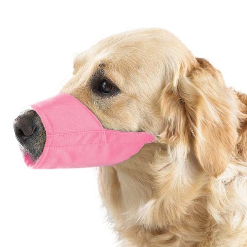 Guardian Gear Nylon gefüttert fashion Maulkorb für Hunde von Guardian