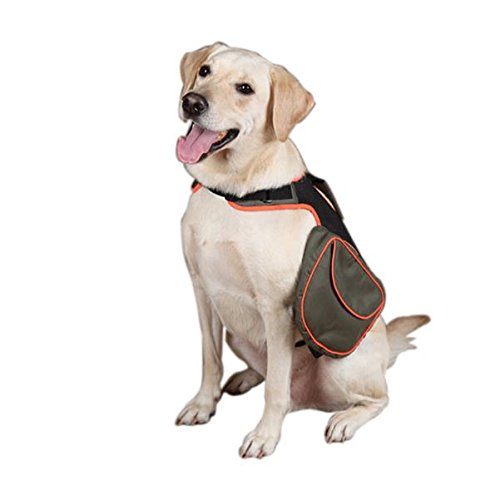Guardian Gear Polyester Hund Back Pack, groß, grün von Guardian