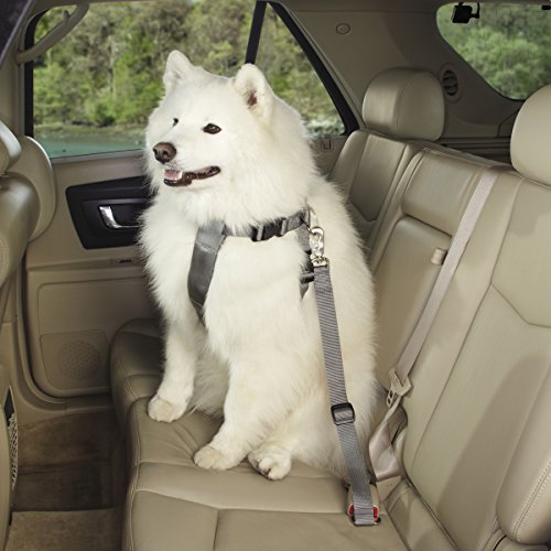 Guardian Gear Ride Recht Classic Car Geschirre – Stabilem Nylon Geschirre für Hunde – XS von Guardian