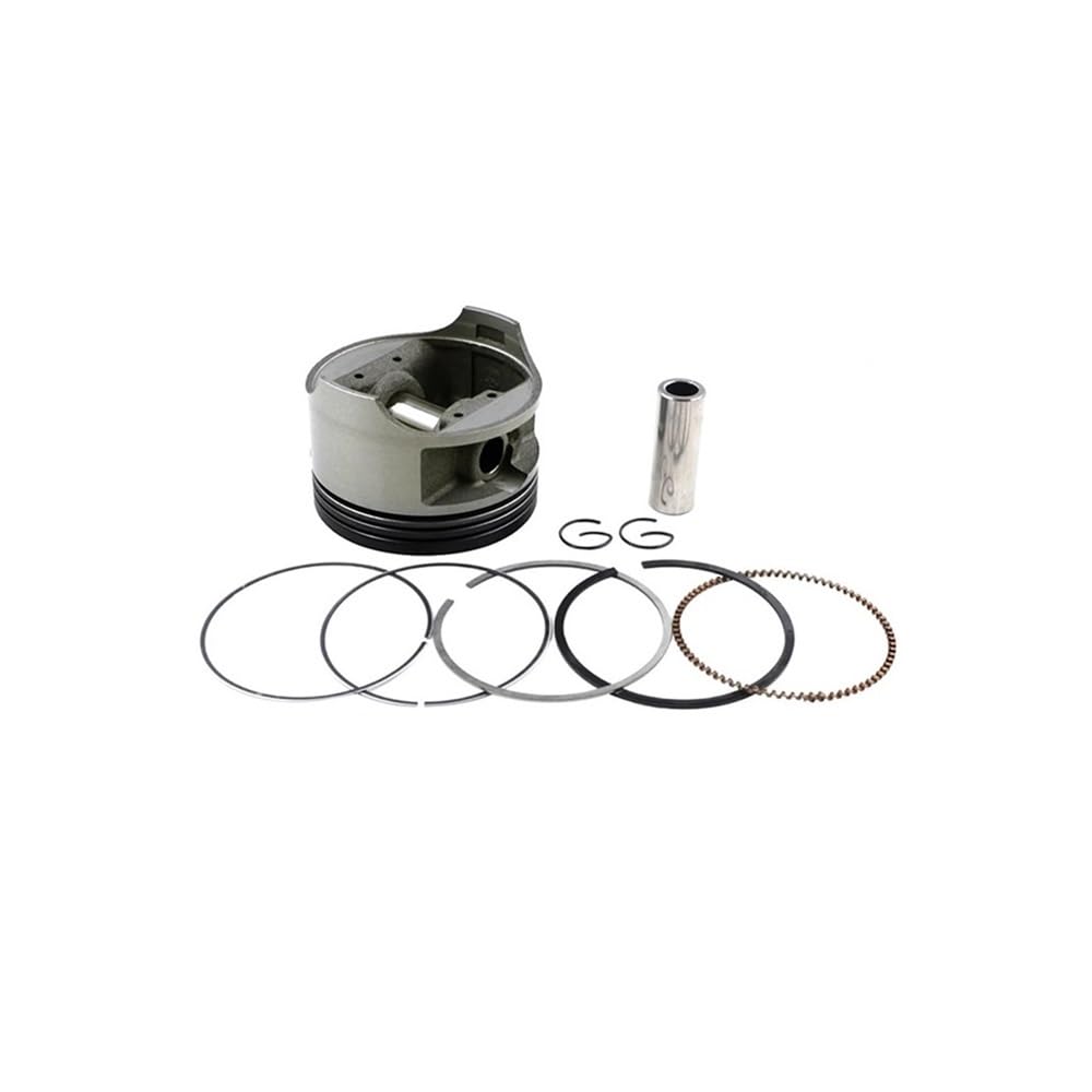 66 mm ~ 67 mm Kolben mit Stiftring-Klemmsatz passend for DR200 42A DF200, passend for VAN200 SP200 DR200SE RV200 Motorrad(66.25mm(Oversize25)) von HAHvvBOF