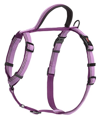 HALTI Hundegeschirr, mit 3M Reflektorstreifen und weichem Neopren-gefüttertem Griff, Mittelgroß, lila HALTI Hundegeschirr, mit 3M Reflektorstreifen und weichem Neopren-gefüttertem Griff, Mittelgroß, lila von HALTI Walking