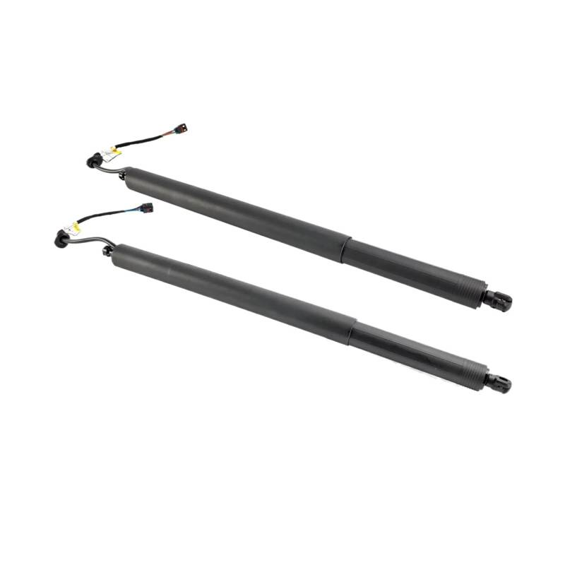 Shuogoufeng Store 2 STÜCKE 81831S1100 81841S1100 Elektrische Stützstangen for die Heckklappe hinten links und rechts, kompatibel mit Santa Fe F19 2019–2021 von HAUTFENM