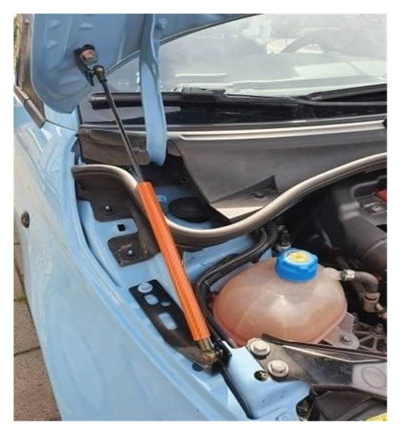 Heckklappen Gasdruckfedern Für Fiat 500 2007-2023 Motorhaubenheber Vordere Motorhaube Haube Ändern Stoßdämpfer Absorber Gas Streben Lift Unterstützung(Carbon Fiber 8) von HCKCLMBMZW