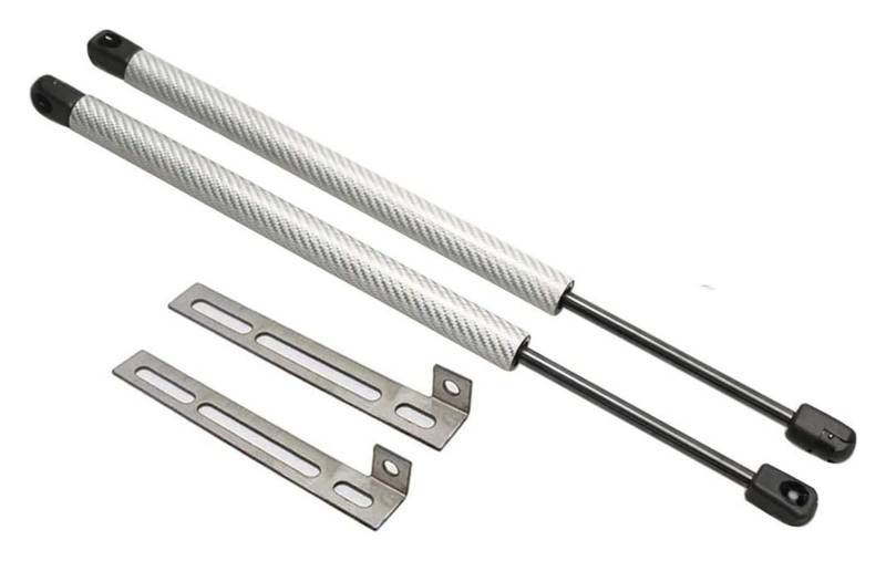 Heckklappen Gasdruckfedern Für SITZ Für Leon MK2 1P 2005-2012 Motorhaube Heber Unterstützung Gas Strut Front Hood Ändern Gas Streben Quellen Lift Schock(Carbon Fiber 1) von HCKCLMBMZW