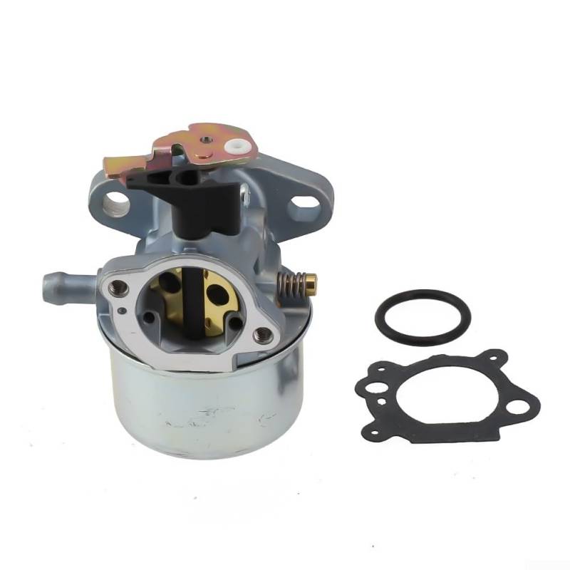 HEBEOT Generator Vergaser Kleinmotor Vergaser Generator Ersatz für Quantum-Motoren von HEBEOT