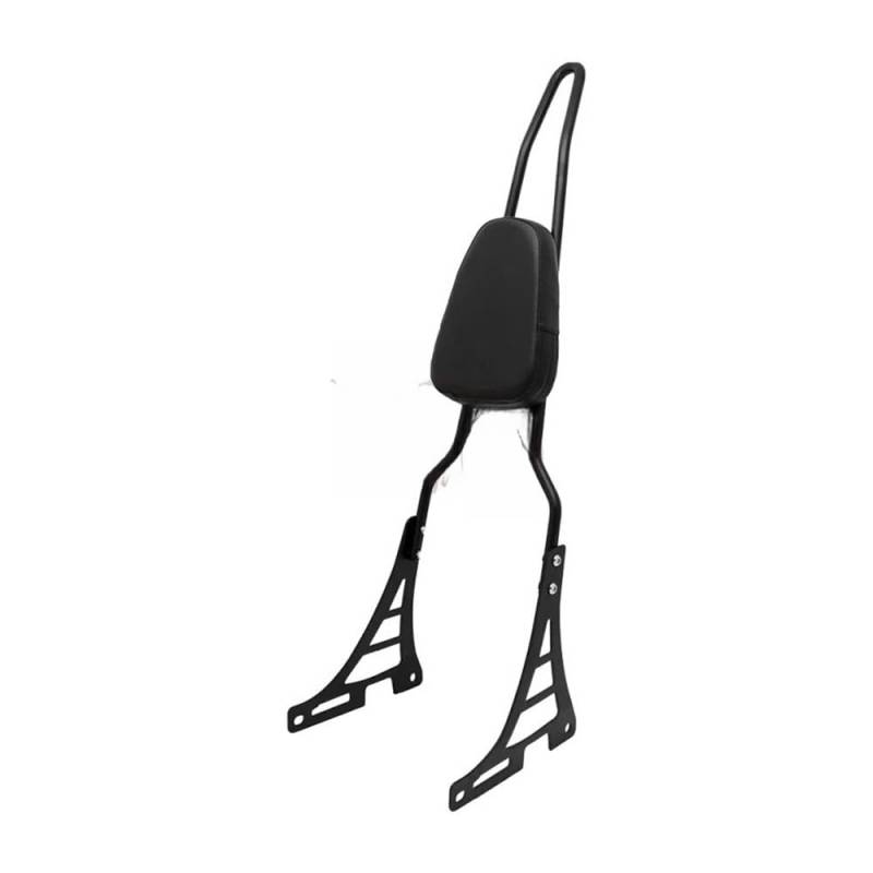 Rückenlehne Motorrad Abnehmbare Passagier Rückenlehne Sissy Bar Für XL883 XL1200 XL883C XL883R XL1200R XL1200C XL1200 X48 von HEEGIN