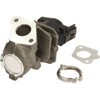 AGR Ventil HELLA 6NU 010 171-091 AGR Ventil HELLA 6NU 010 171-091 von Hella