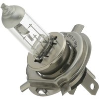 HELLA Glühlampe, Hauptscheinwerfer PERFORMANCE UP TO 60% H4 8GJ 223 498-221 VW,AUDI,MERCEDES-BENZ HELLA Glühlampe, Hauptscheinwerfer PERFORMANCE UP TO 60% H4 8GJ 223 498-221 VW,AUDI,MERCEDES-BENZ von HELLA