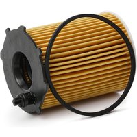 HENGST FILTER Ölfilter Filtereinsatz E40H D105 Motorölfilter,Filter für Öl FORD,FIAT,PEUGEOT,Fiesta Mk6 Schrägheck (JA8, JR8) von HENGST FILTER